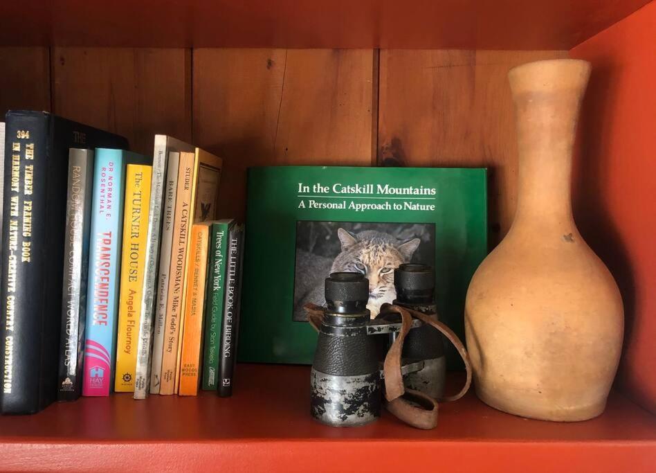 Panther Mountain Lodge Phoenicia Ngoại thất bức ảnh